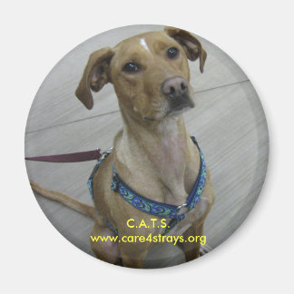 Imán C.A.T.S. Magnet