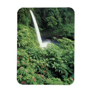 Imán CA, Costa Rica. Cascada La Paz y balsaminas