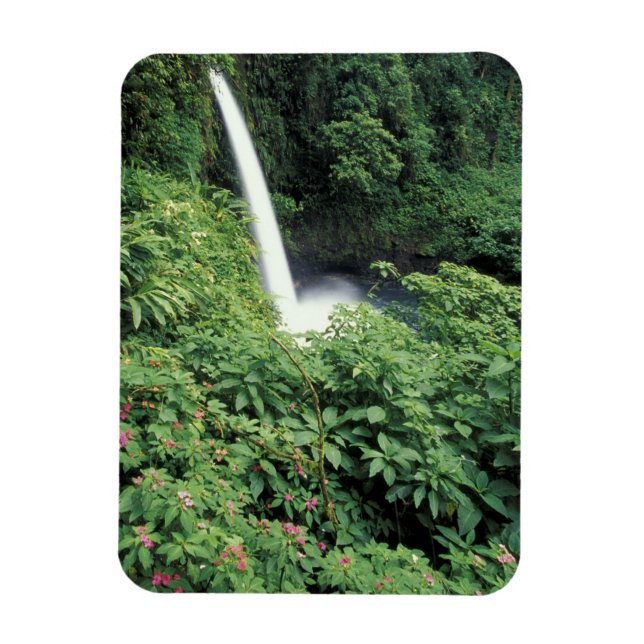 Imán CA, Costa Rica. Cascada La Paz y balsaminas (Vertical)
