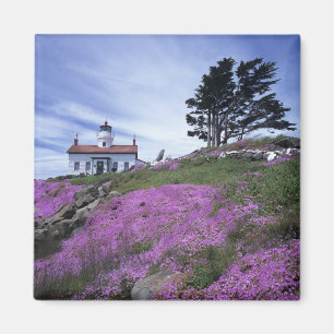 Imán CA, Crescent City, faro de Battery Point con