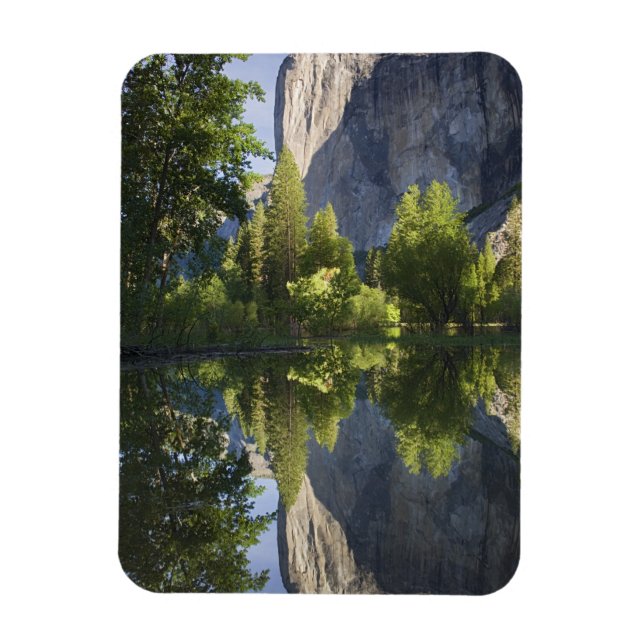 Imán CA, Parque Nacional Yosemite, El Capitán reflejado (Vertical)