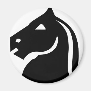 Imán Caballero negro