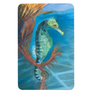 Imán Caballito de mar entre algas