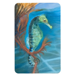 Imán Caballito de mar entre algas