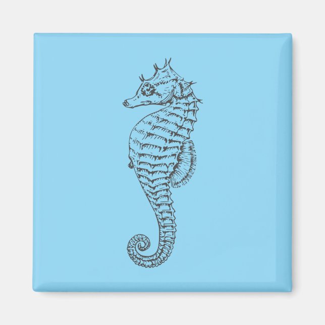 Imán caballito de mar gráfico en azul claro (Frente)
