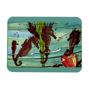 Imán caballitos de mar