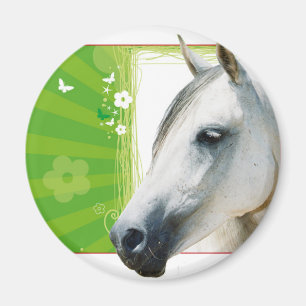 Imán Caballo