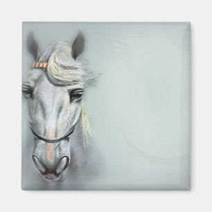 IMÁN CABALLO