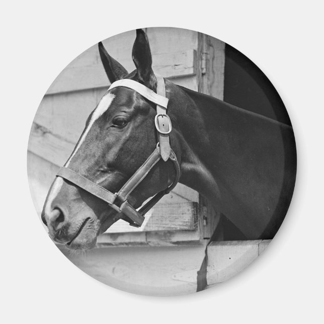 Imán Caballo (Frente)