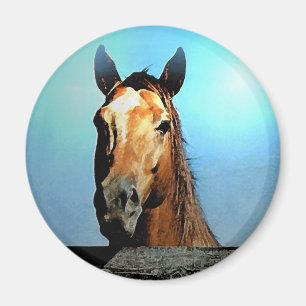 Imán Caballo