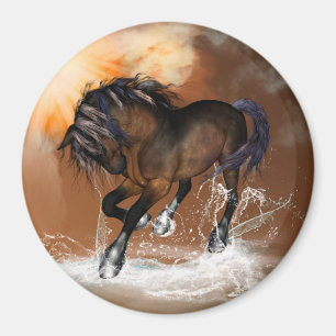Imán Caballo