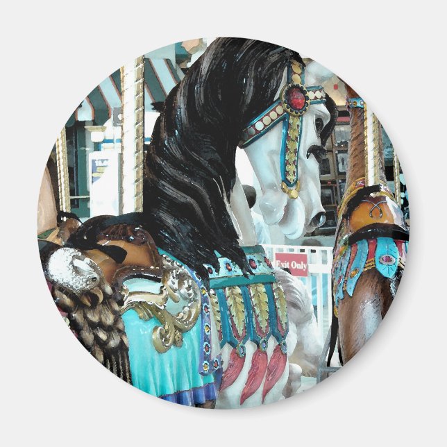 Imán Caballo acuarela de merry-go-round (Frente)