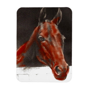Imán caballo amistoso
