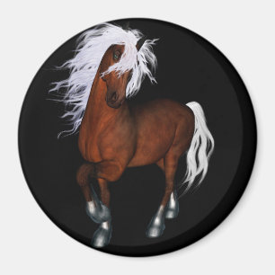 Imán Caballo asombroso