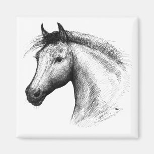 Imán Caballo: blanco
