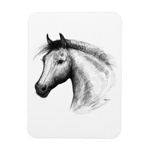 Imán Caballo: blanco