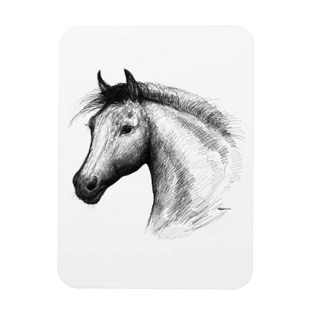 Imán Caballo: blanco (Vertical)