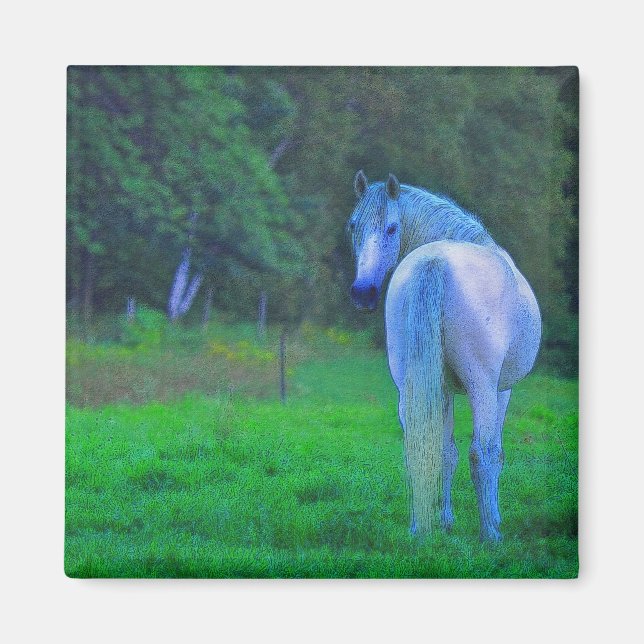 Imán Caballo blanco en regalo de arte magnético a la lu (Frente)