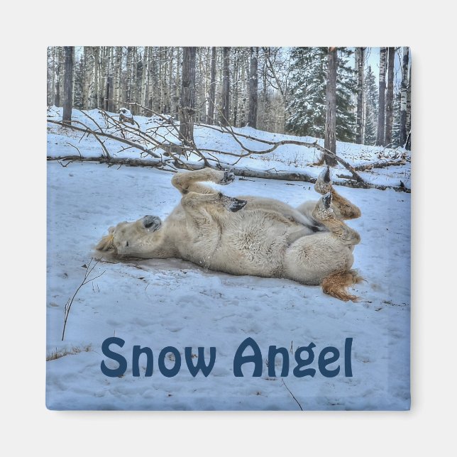 Imán Caballo blanco rodando en nieve de invierno (Frente)