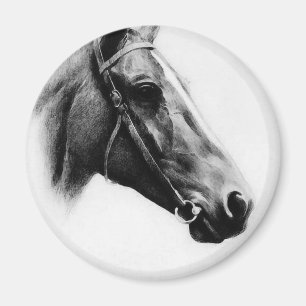 Imán Caballo blanco y negro
