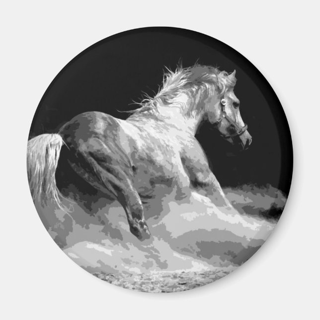 Imán Caballo blanco y negro en acción (Frente)