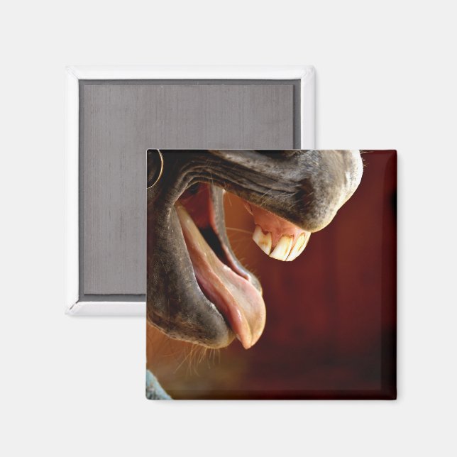 Imán Caballo, boca abierta, lengua fuera, dientes (Anverso/Reverso)