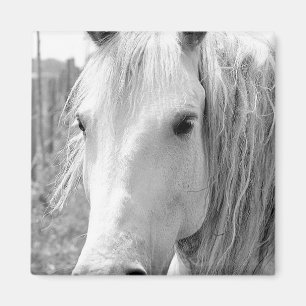 Imán Caballo con hierba