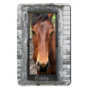 Imán Caballo con nombre