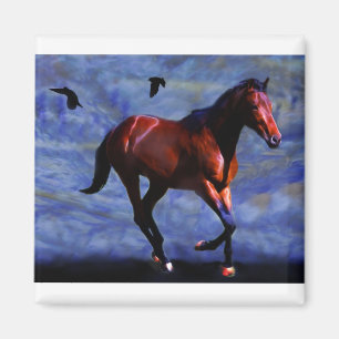 Imán Caballo crepuscular