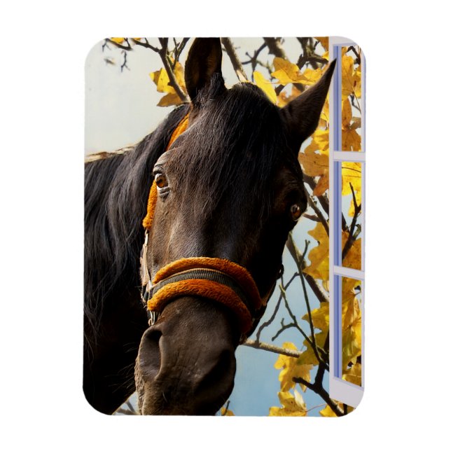 Imán Caballo Curioso Mirando Por La Ventana De La Cocin (Vertical)