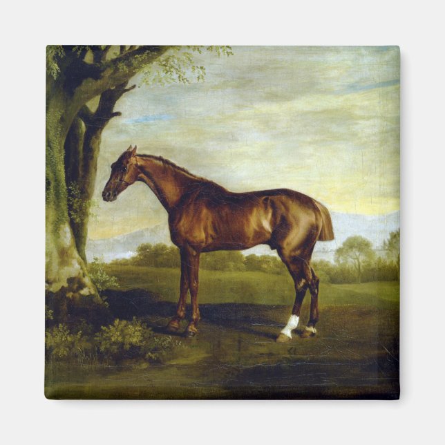 Imán Caballo de castaño en un paisaje (George Stubbs) (Frente)
