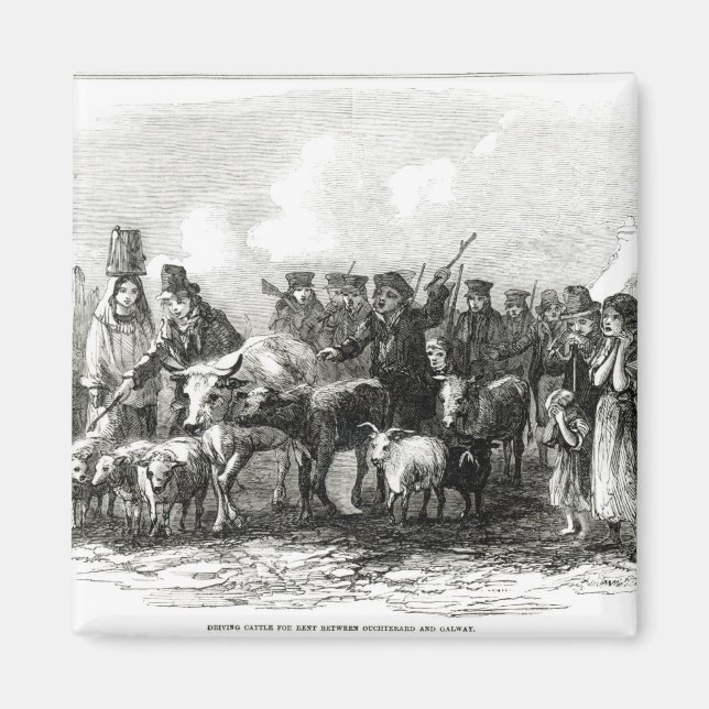 Imán Caballo de Conducción para Alquiler (Frente)