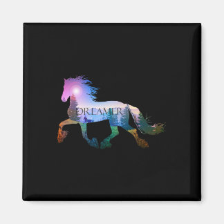 Imán Caballo de equitación