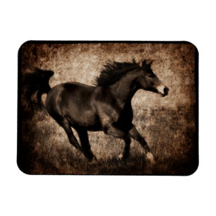 Imán Caballo de gallopaje ruso de sepia