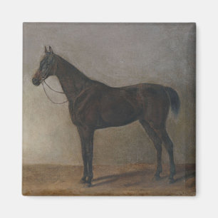 Imán Caballo de gelatina marrón oscuro (arte animal vin