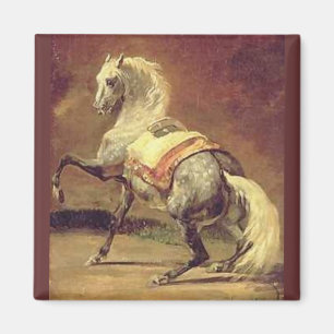 IMÁN CABALLO DE GRIS DESPLEGADO