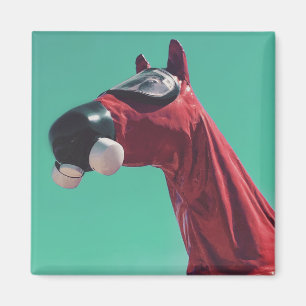 Imán caballo de guerra fría