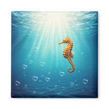 Caballo de mar con burbujas cardíacas