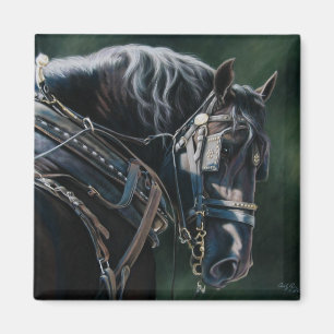 Imán Caballo de Percheron Negro listo y deseable