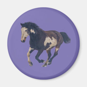 Imán Caballo de pintura Pinto americano de Galloping Wi