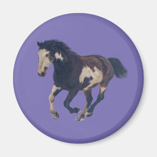 Imán Caballo de pintura Pinto americano de Galloping Wi