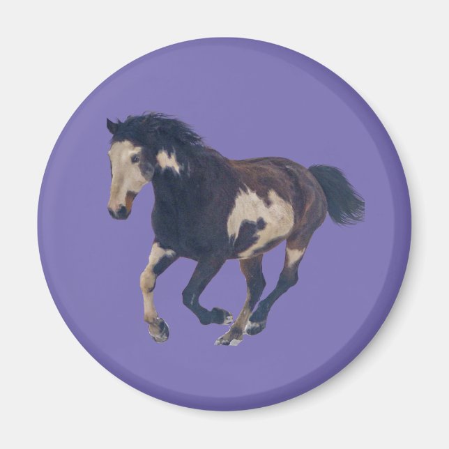 Imán Caballo de pintura Pinto americano de Galloping Wi (Frente)