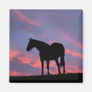 Imán Caballo de raza pura silueteado al amanecer