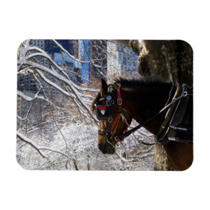 Imán Caballo de transporte de invierno
