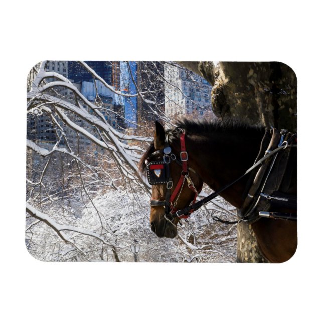 Imán Caballo de transporte de invierno (Horizontal)