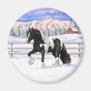 Imán Caballo de Vanner de Black Pinto Piebald Gypsy