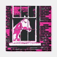 caballo de ventana de galena