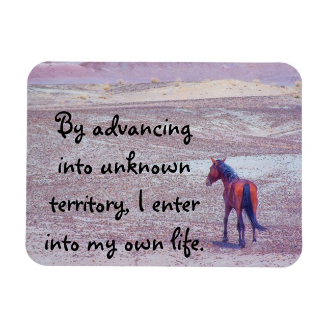 Imán Caballo desierto P8640 (Horizontal)