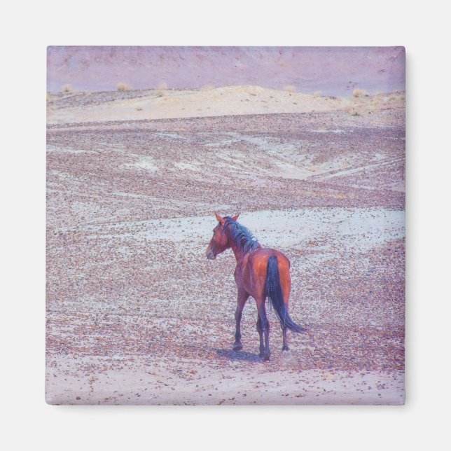 Imán Caballo desierto P8640 (Frente)