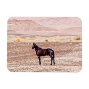 Imán Caballo desierto P8664